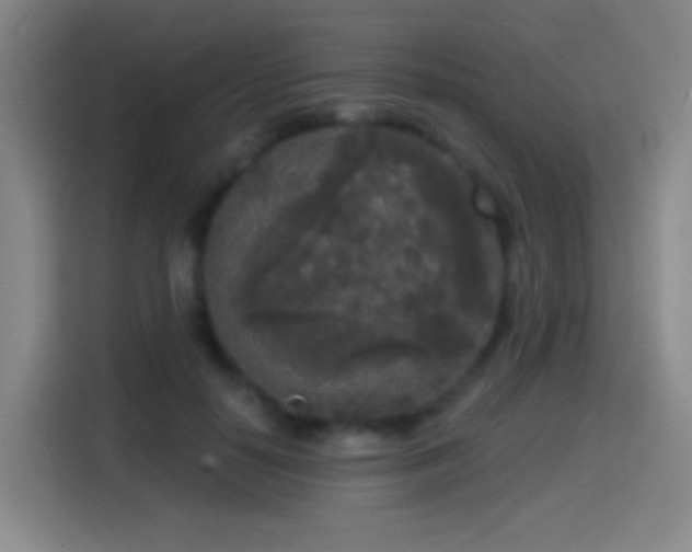 X0000114440650200910161356