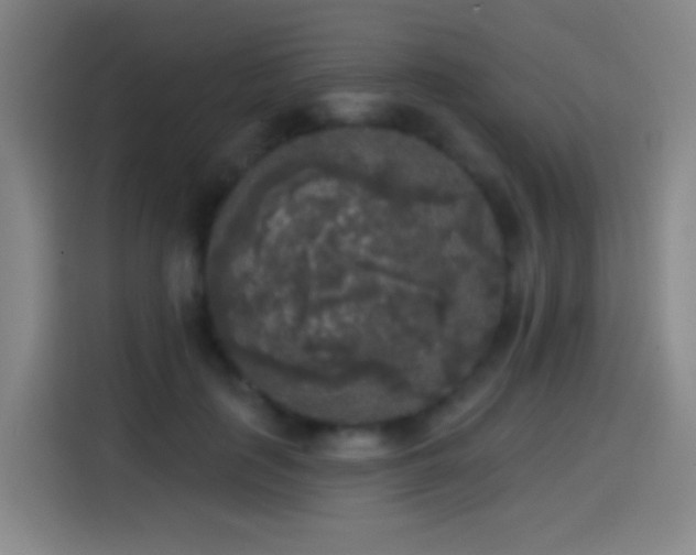X0000114440651200910161356