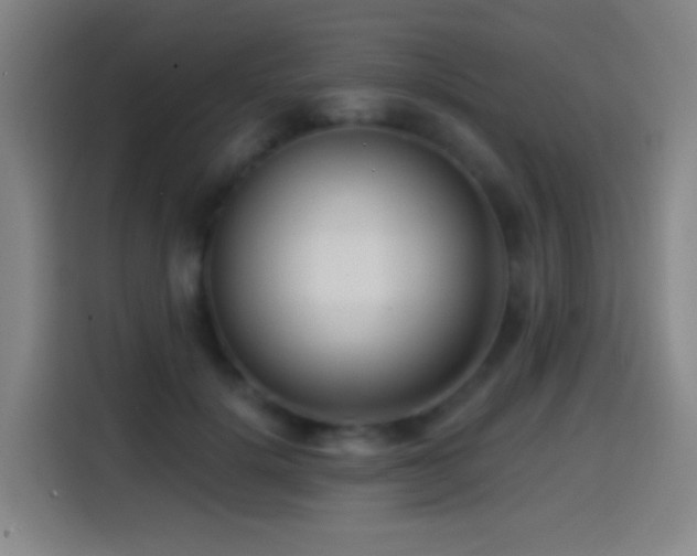 X0000114440652200910161356