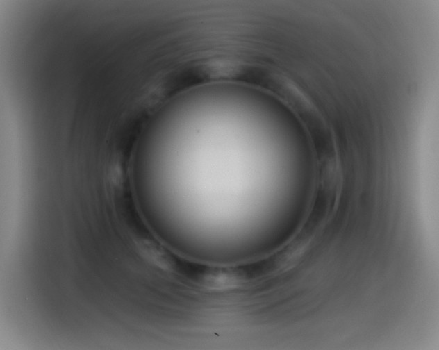 X0000114440655200910161356
