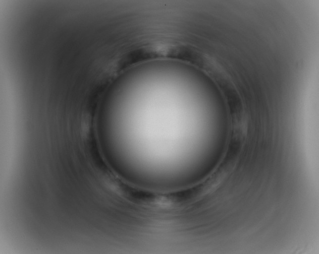 X0000114440656200910161356