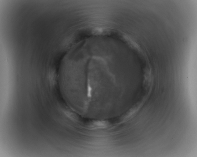 X0000114440659200910161356