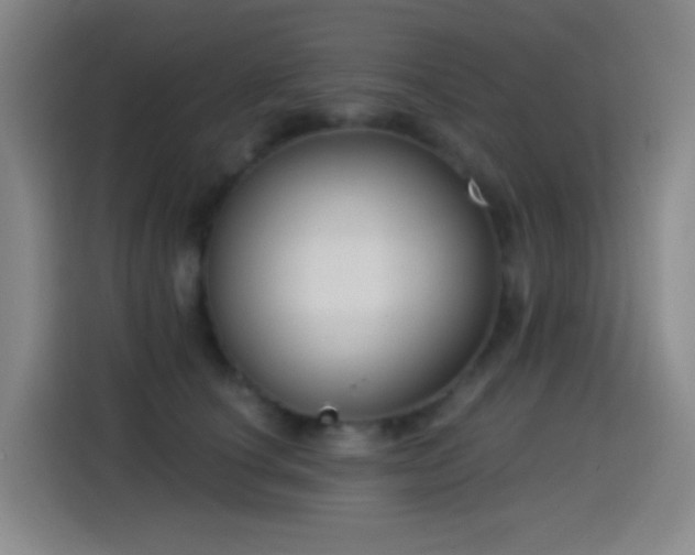 X0000114440660200910161356