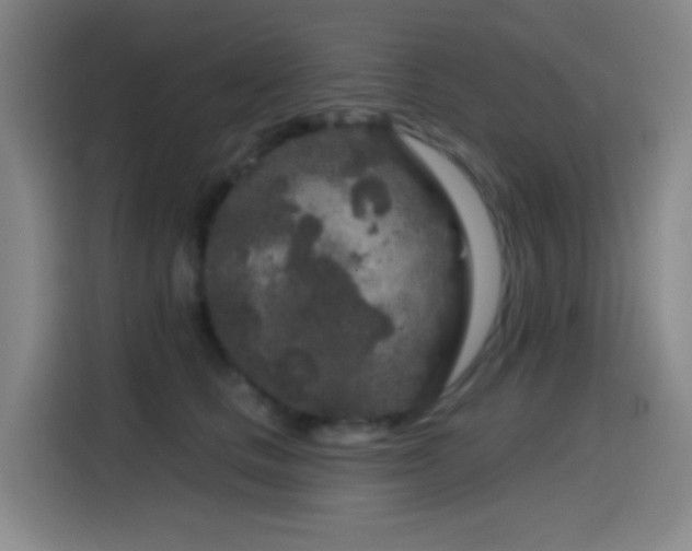 X0000114440661200910161356
