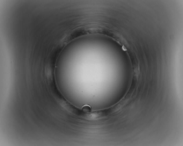 X0000114440662200910161356