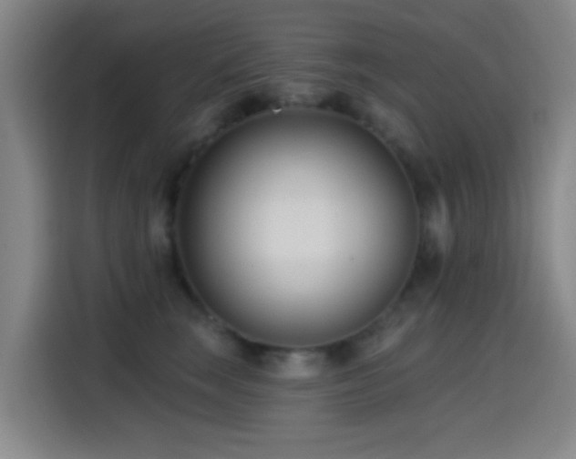 X0000114440663200910161356