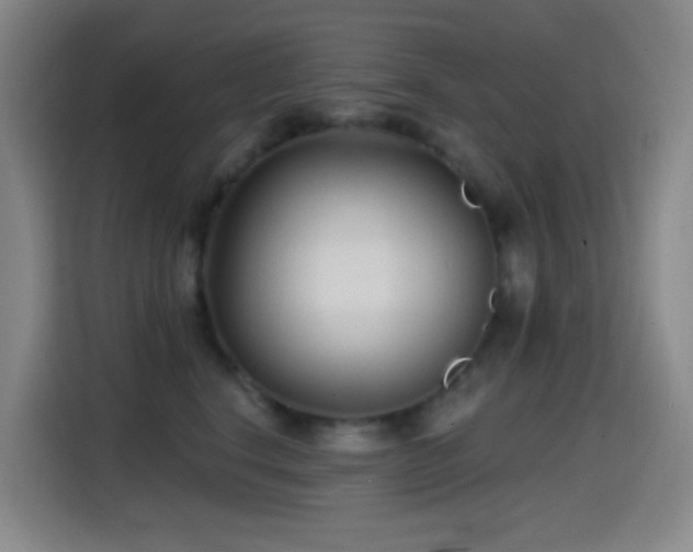 X0000114440664200910161356