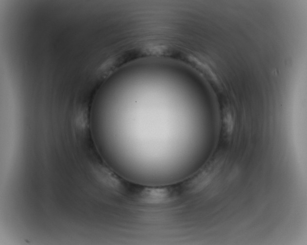 X0000114440665200910161356