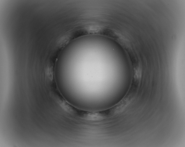 X0000114440666200910161356