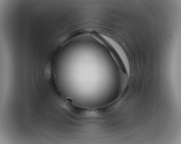 X0000114440668200910161356