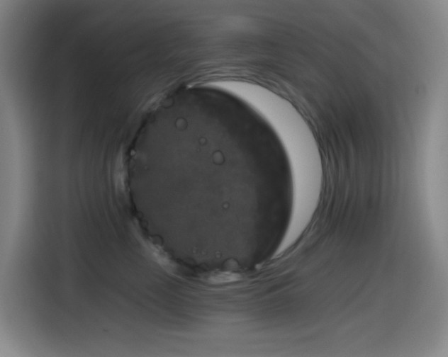 X0000114440669200910161356