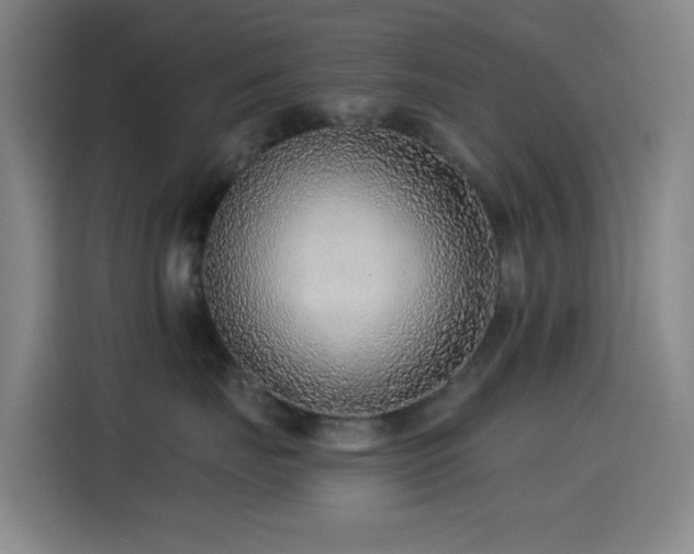 X0000114440671200910161356