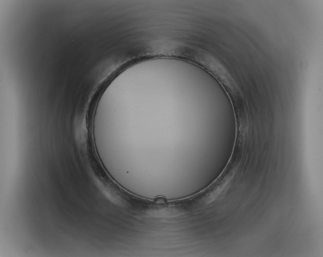 X0000114440674200910161356