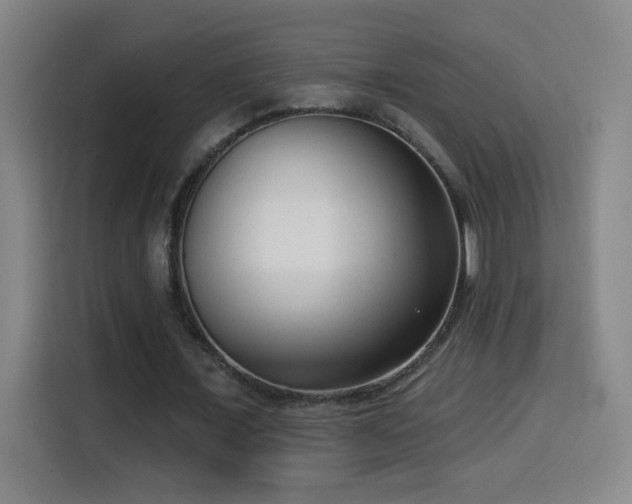 X0000114440675200910161356