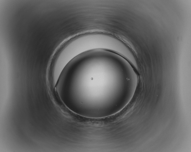 X0000114440676200910161356