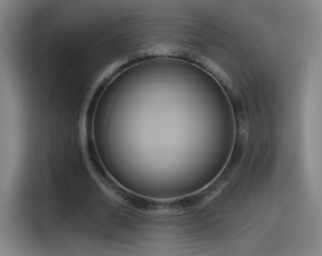 X0000114440678200910161356