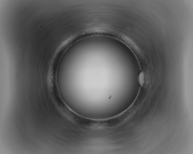 X0000114440680200910161355