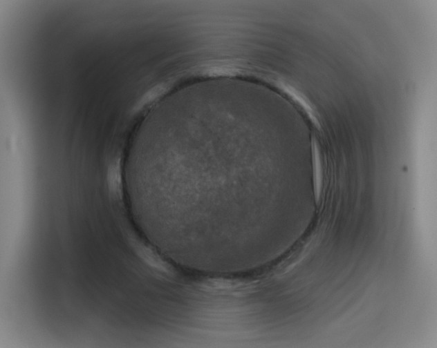 X0000114440681200910161355