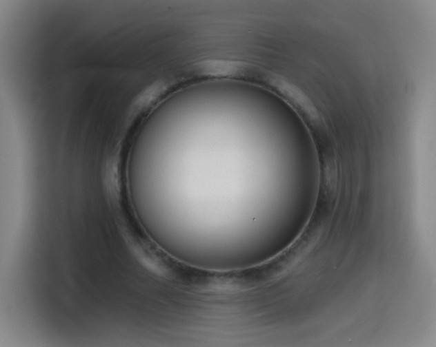 X0000114440682200910161355