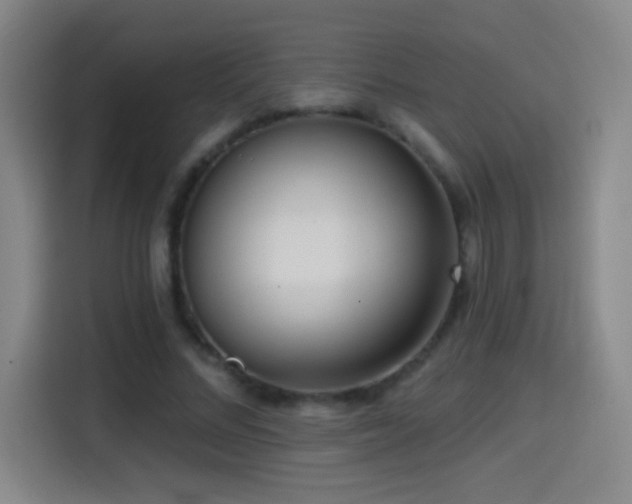 X0000114440684200910161355