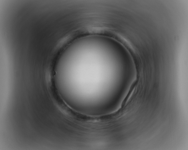 X0000114440687200910161355