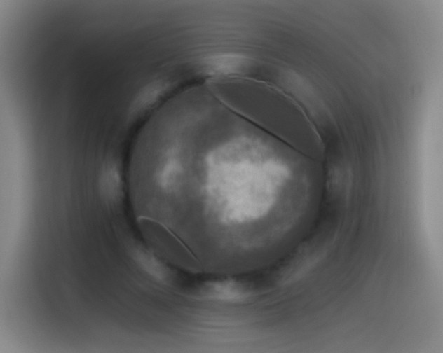 X0000114440688200910161355