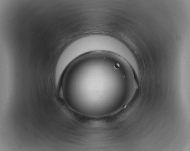 X0000114440689200910161355