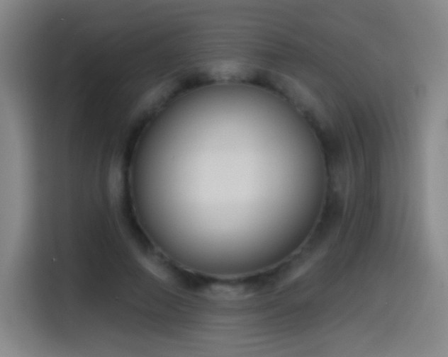 X0000114440690200910161355