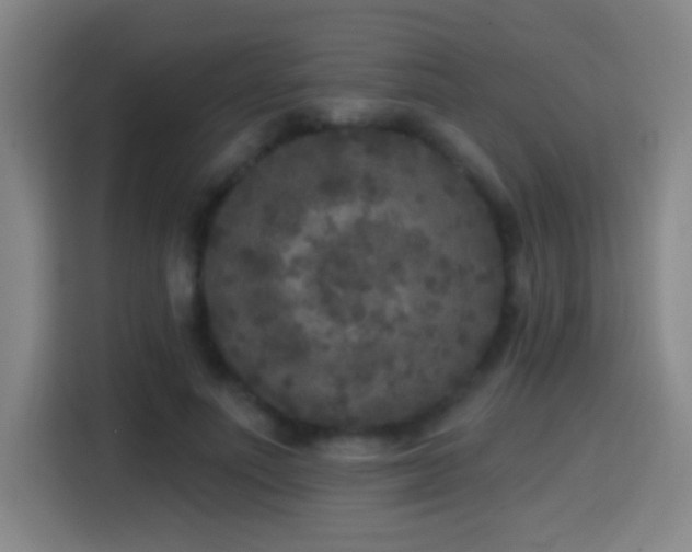 X0000114440691200910161355