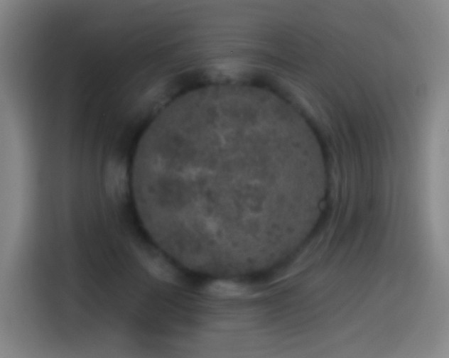 X0000114440699200910161355