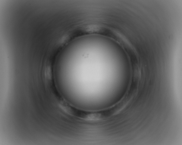 X0000114440700200910161355