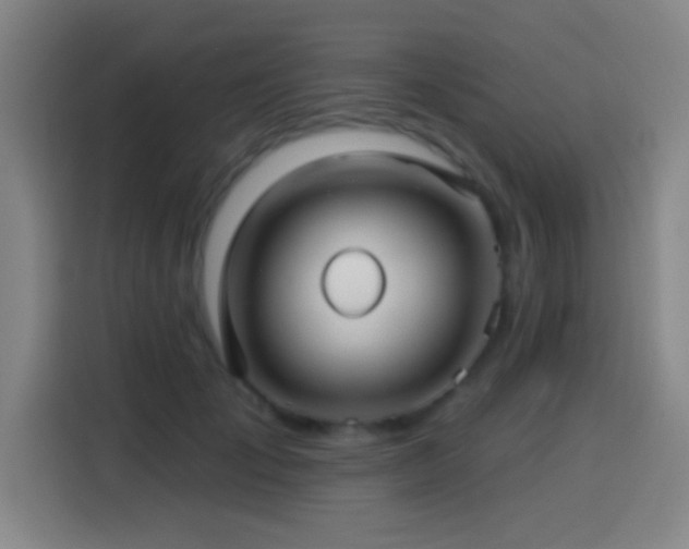 X0000114440701200910161355