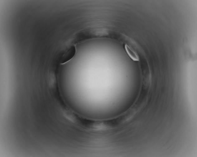 X0000114440704200910161355