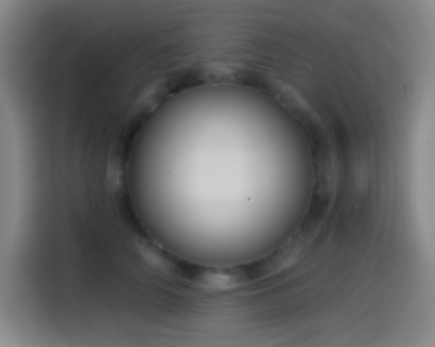 X0000114440706200910161355