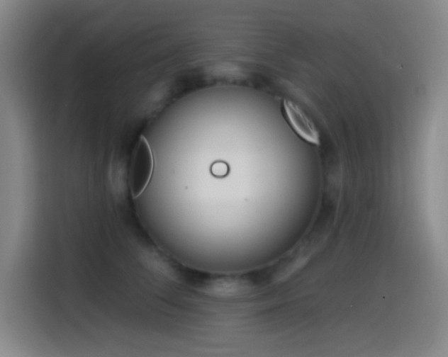 X0000114440708200910161355