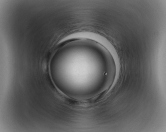 X0000114440709200910161355