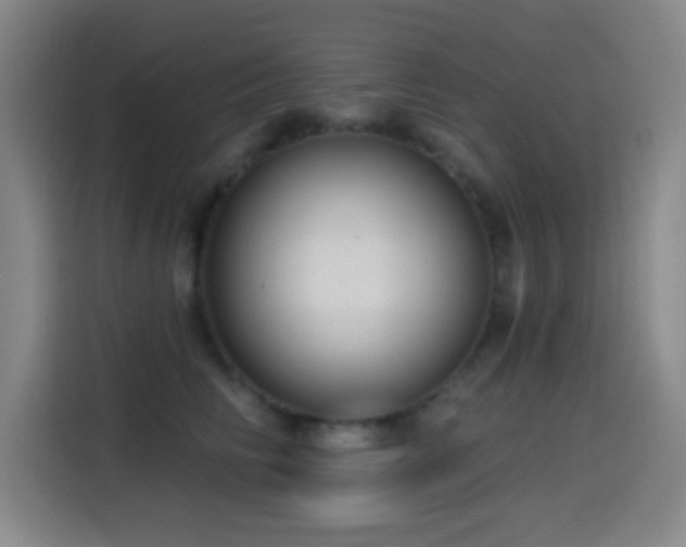 X0000114440710200910161355