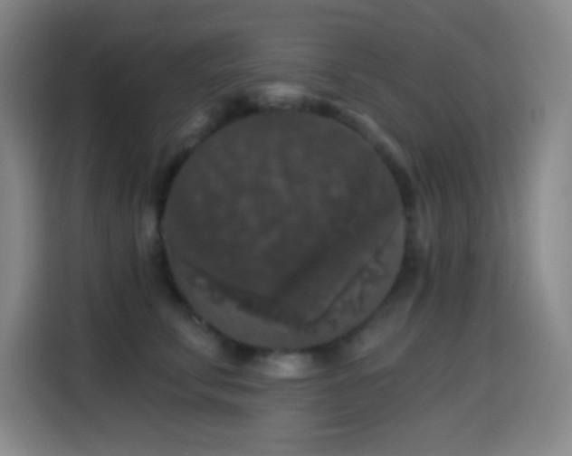 X0000114440711200910161355
