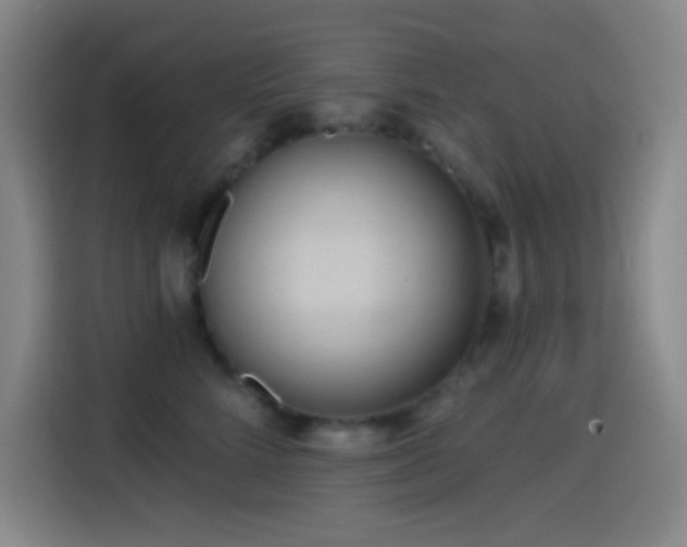 X0000114440712200910161355
