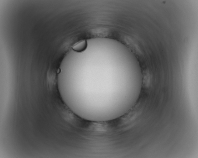 X0000114440713200910161355