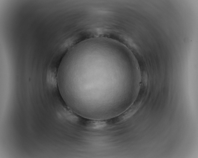 X0000114440719200910161355