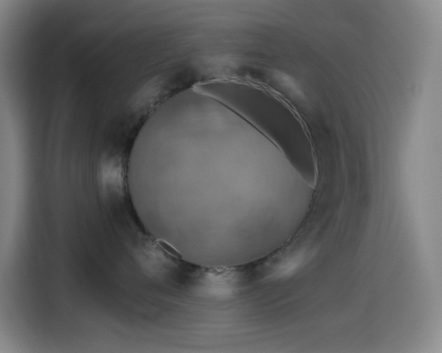 X0000114440720200910161355