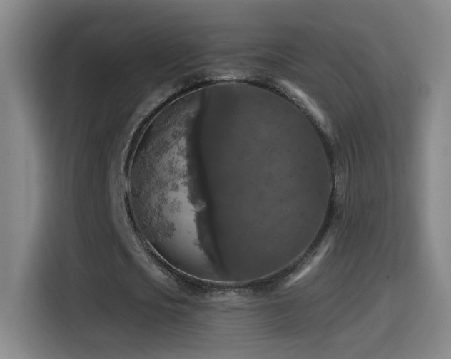 X0000114440721200910161354