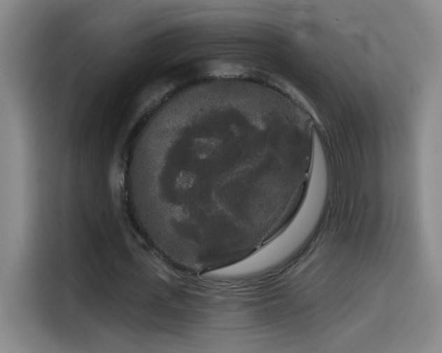 X0000114440723200910161354