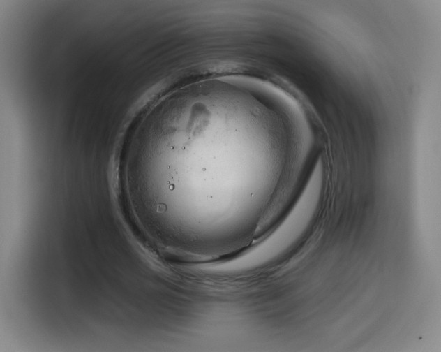 X0000114440725200910161354