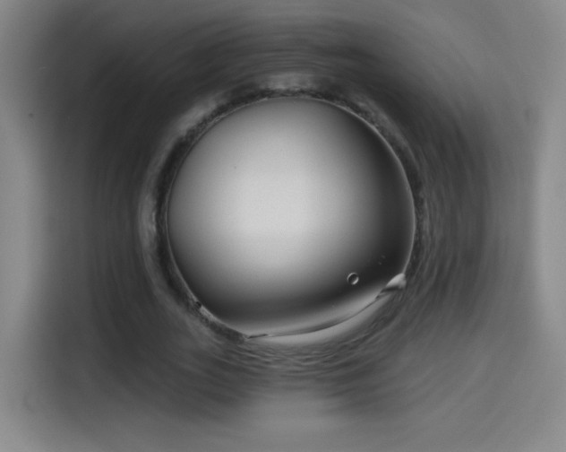 X0000114440727200910161354