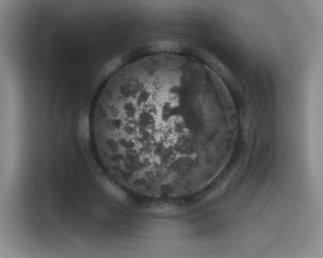 X0000114440729200910161354