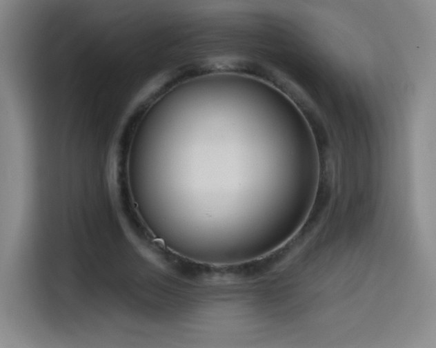 X0000114440730200910161354