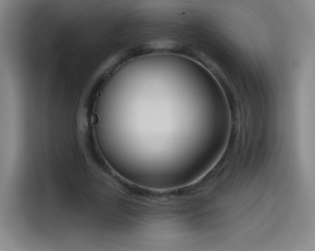 X0000114440731200910161354
