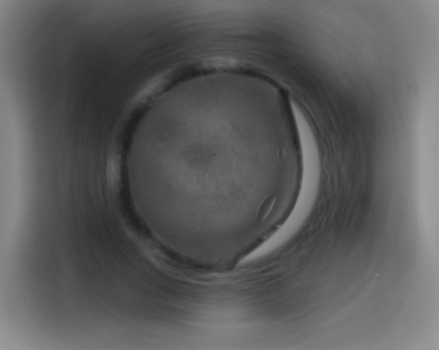 X0000114440735200910161355